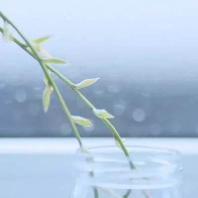 快三买大小的正规平台